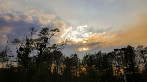 Low angle view of silhouette trees against sky during sunset