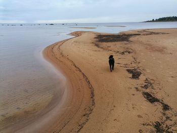 Rear view of man on beach