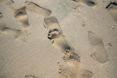 High angle view of footprints on sand