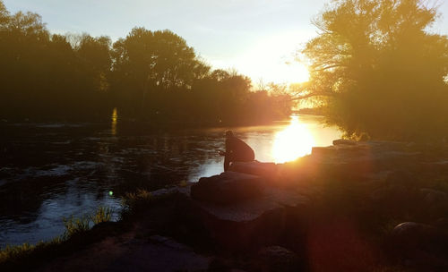 Scenic view of sun shining through trees during sunset