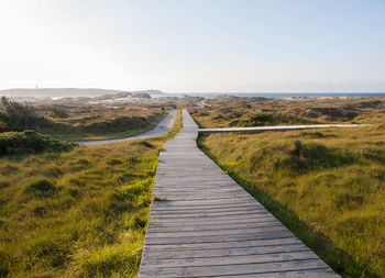 Footpath leading towards field against sky