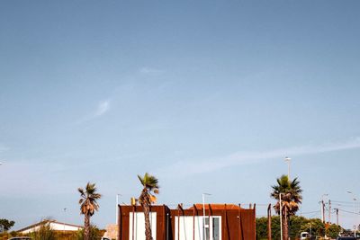 Low angle view of palm trees and building against sky