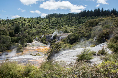 Scenic view of waterfall in forest against sky