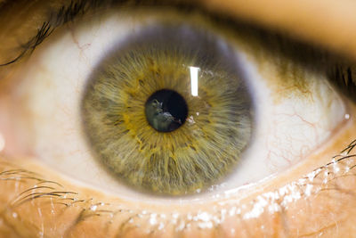 Extreme close-up of human eye