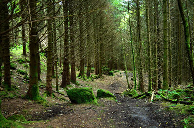 Two churches pathway walk on the isle of skye.