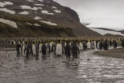 Group of people in row on mountain against sky
