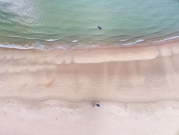 High angle view of birds on beach