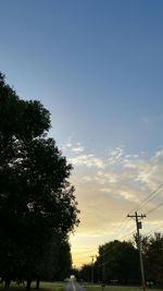 Trees against blue sky