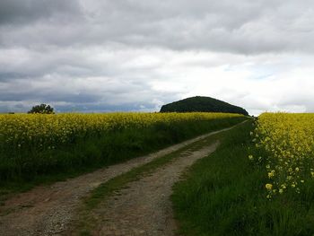 Scenic view of agricultural field against cloudy sky