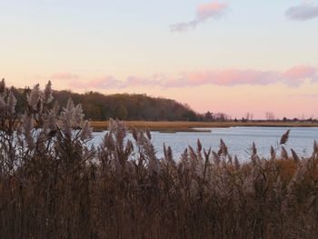 Scenic view of lake against sky during sunset