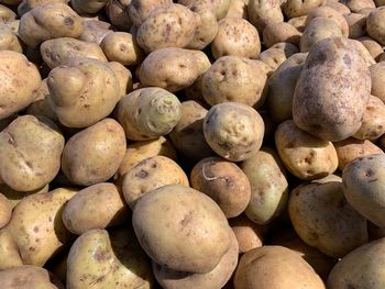 Full frame shot of onions for sale at market stall