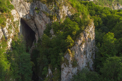 Scenic view of waterfall