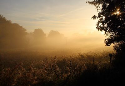 Scenic view of landscape against sky