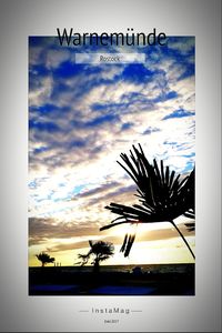 Close-up of palm trees against sky