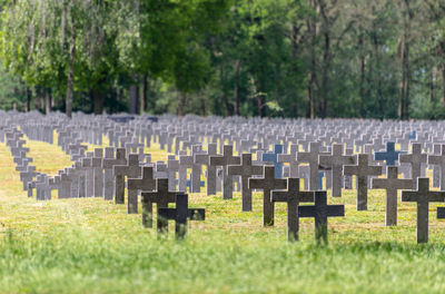 A lot of small, concrete crosses at the german war cemetery in the netherlands.