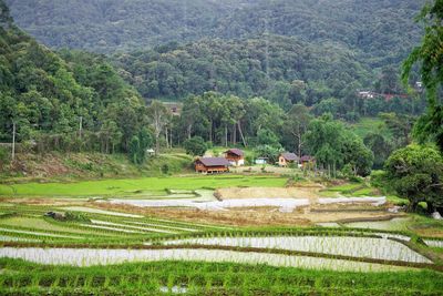 Scenic view of landscape against mountains