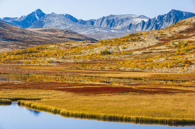 Autumn colors at mountain scenery, norway. autumn colors