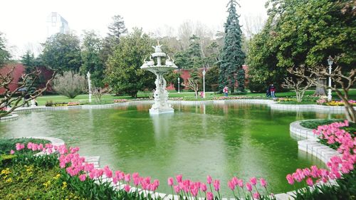 View of fountain in garden