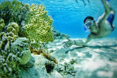 Shirtless man snorkeling by coral reef in sea