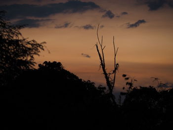 Silhouette trees against sky at sunset