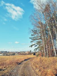 Road amidst field against sky