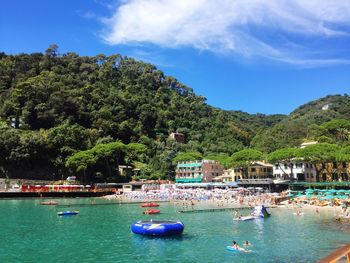 People swimming in calm ocean against lush foliage