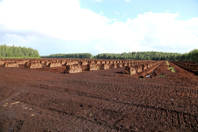 Peat is stacked in rows waiting for transport in latvia.