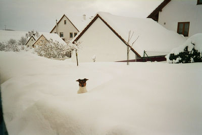 View of snow covered wall