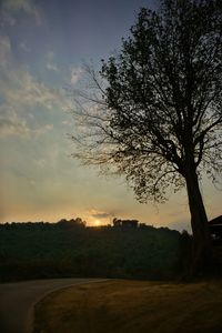 Silhouette tree against sky during sunset