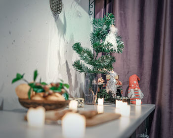 Potted plant on table at home