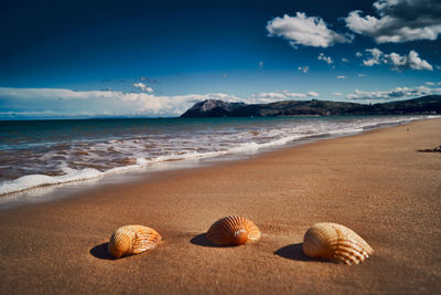 Laredo beach , best travel destination