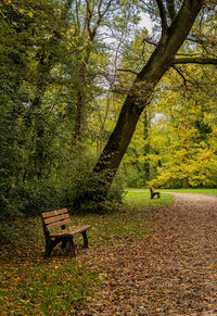 Empty bench in park during autumn