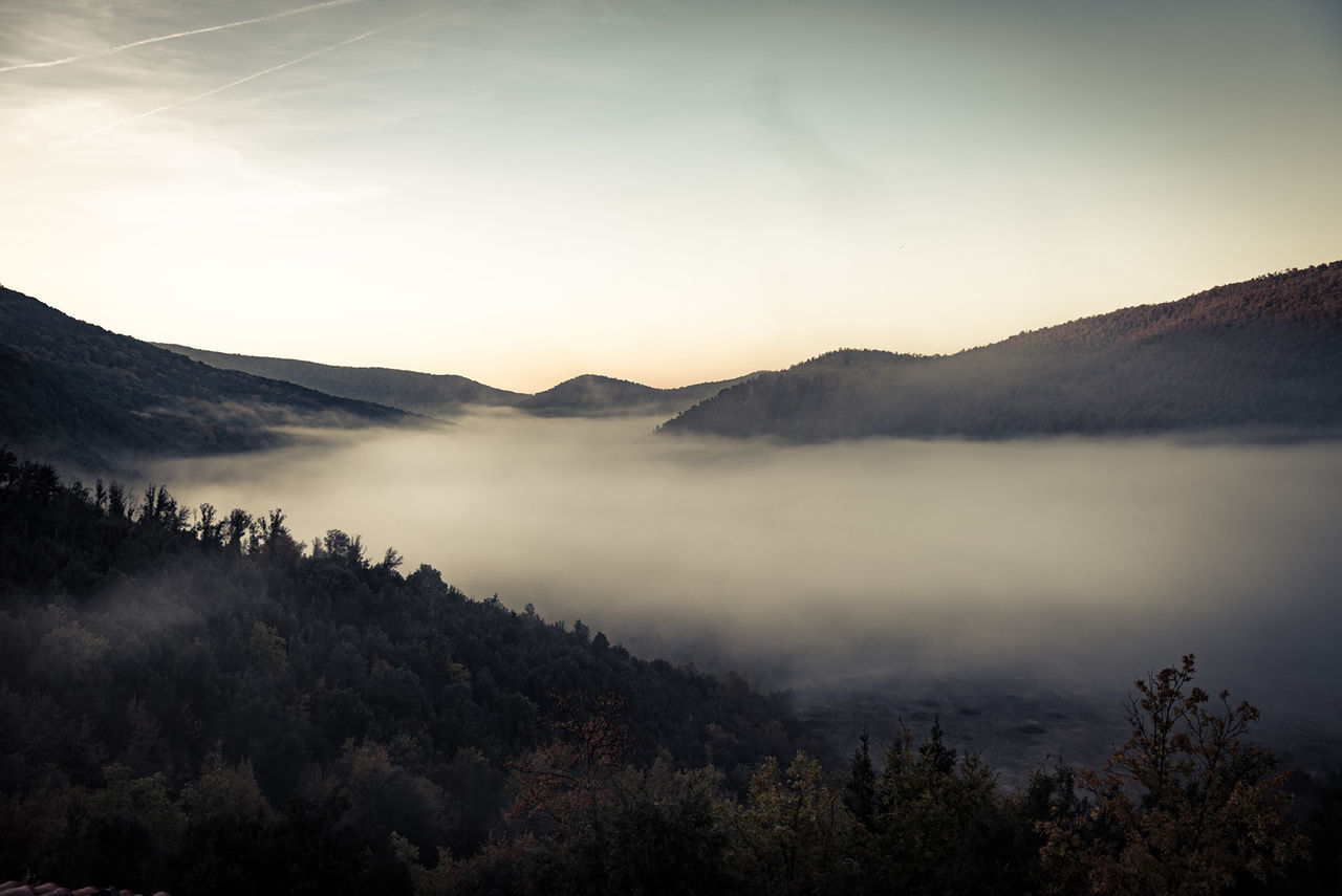 mountain, tranquil scene, scenics, tranquility, mountain range, beauty in nature, landscape, nature, fog, tree, non-urban scene, sky, idyllic, remote, outdoors, no people, majestic, non urban scene, valley, high angle view