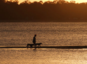 Silhouette man on sea against sky during sunset