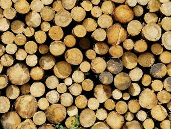 Full frame shot of logs