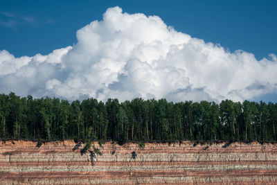 Trees on field against sky