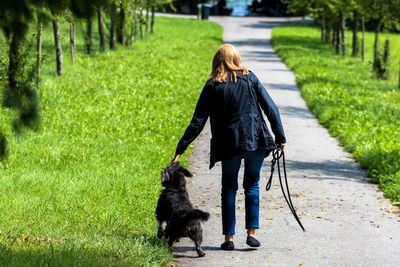 Rear view of woman with dog walking on footpath