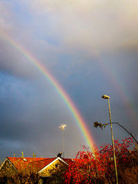 Low angle view of rainbow against sky