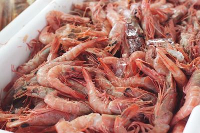 Freshly caught shrimp at the market