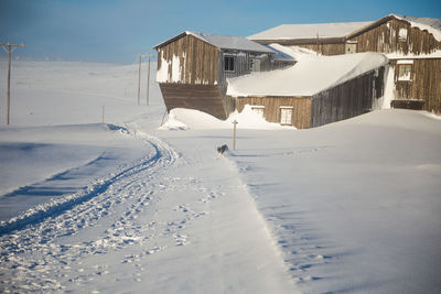 Snow covered houses by buildings against sky