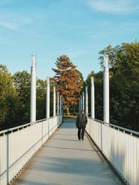 People walking on road