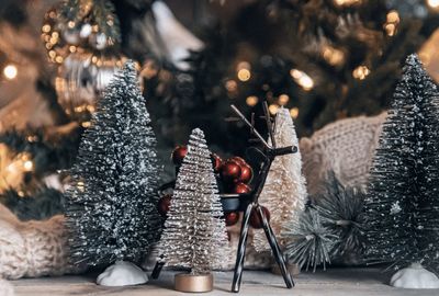 Close-up of christmas tree