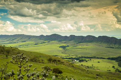 Scenic view of agricultural field against sky