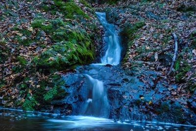 Scenic view of waterfall in forest