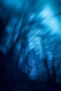 Blurred motion of silhouette trees in forest