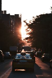 Cars parked on street