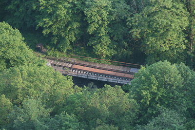 High angle view of bridge amidst trees in forest