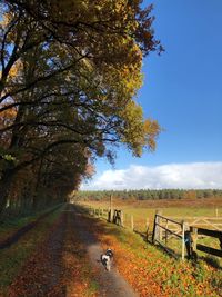 Scenic view of landscape against sky during autumn