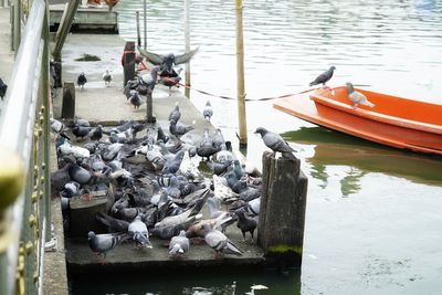 Stack of boats moored by river