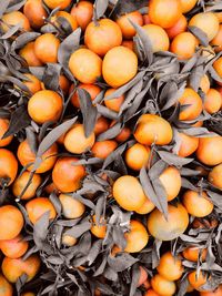 Full frame shot of oranges